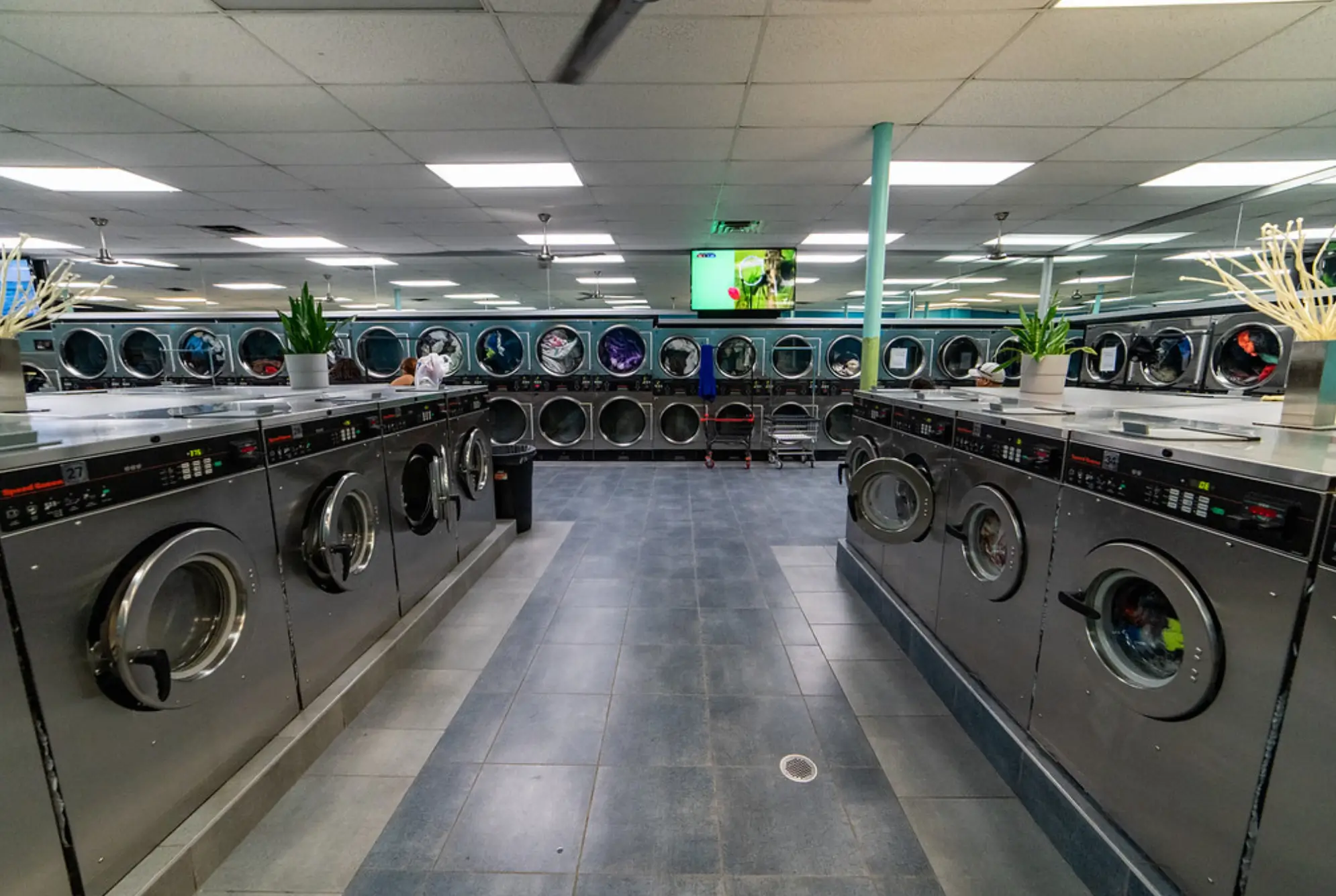 Interior view of washing and drying equipment at Rose Hill Wash